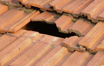 roof repair Boarhills, Fife